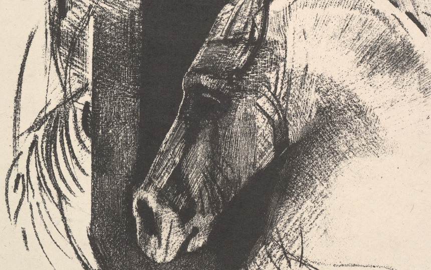 Horse Lips Breathing