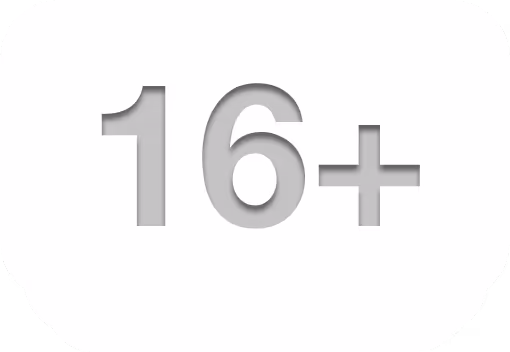 icon representing a website with 16 sections or more