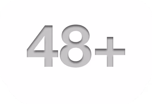 icon representing a website with 48 sections or more