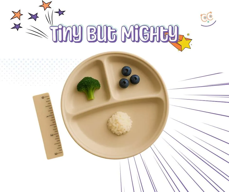 Child-sized divided plate labeled 'Tiny but Mighty,' shown with small portions of broccoli, rice, and blueberries, highlighting manageable serving sizes designed to encourage picky eaters and young children at mealtime.