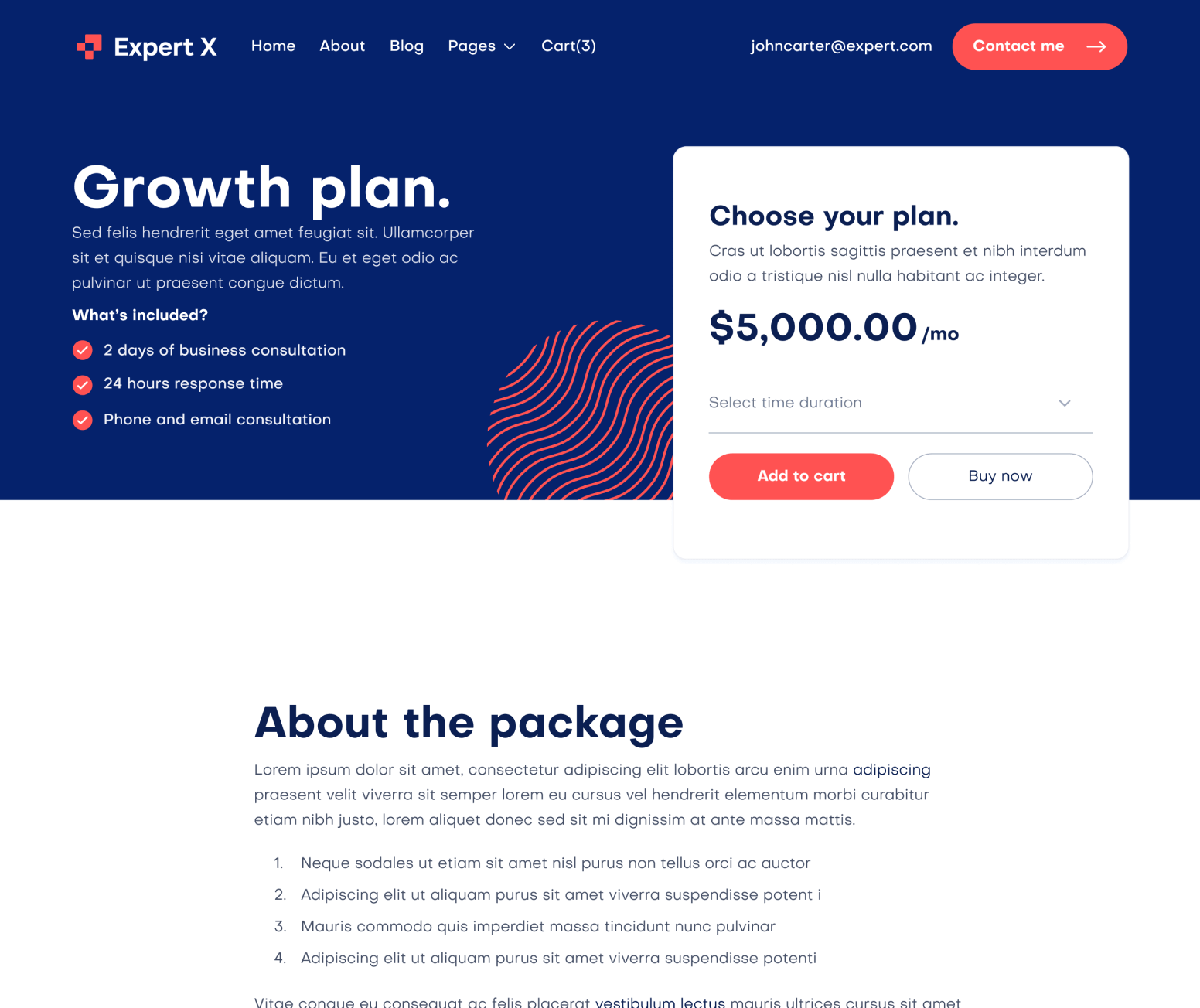 Expert X - Package Single Page - Business Coach Webflow Template