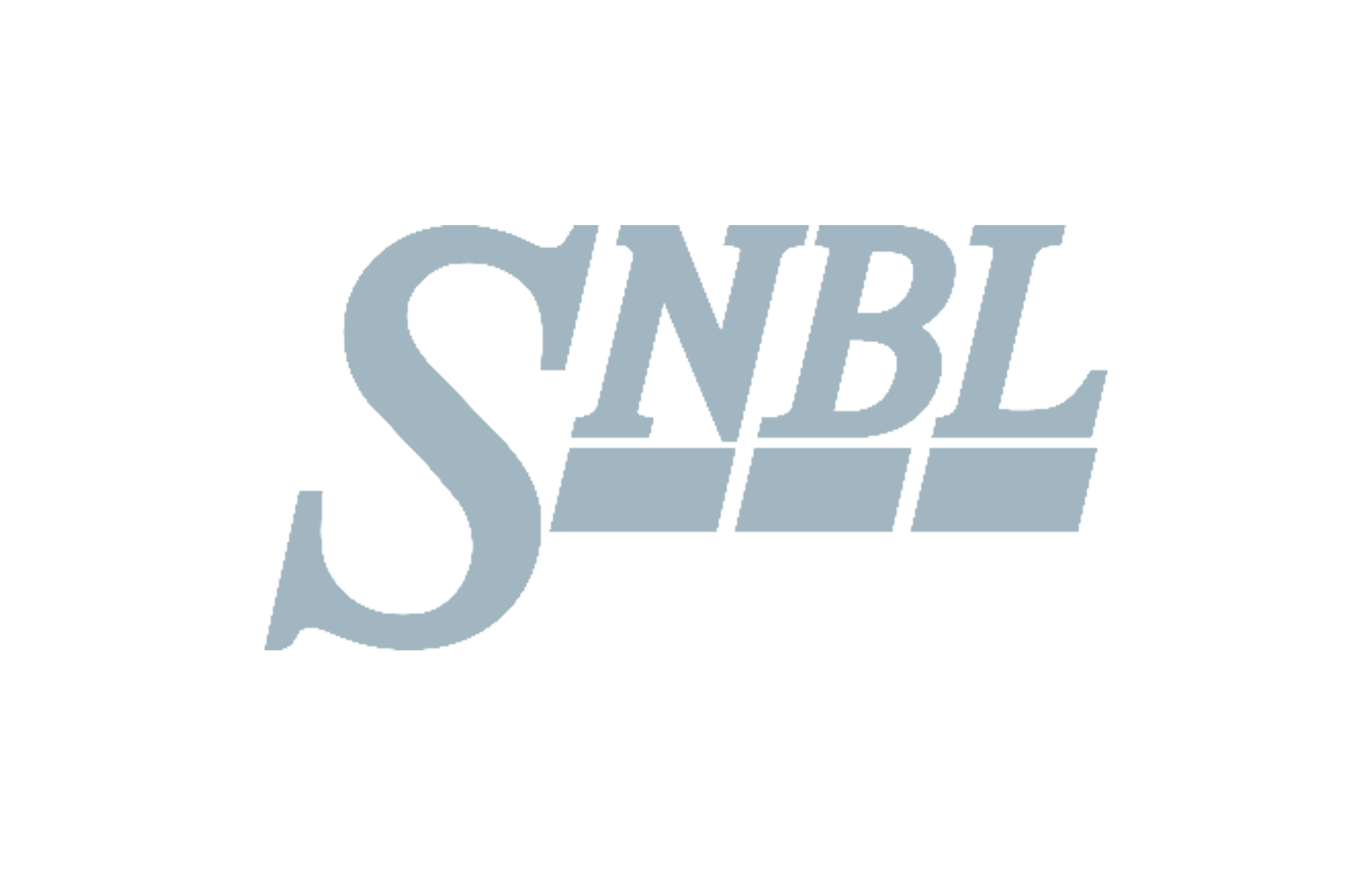 Application - Expert X Webflow Template