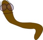 Computer worm virus