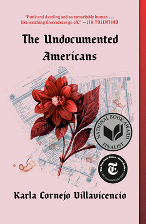The book cover of "The Undocumented Americans"