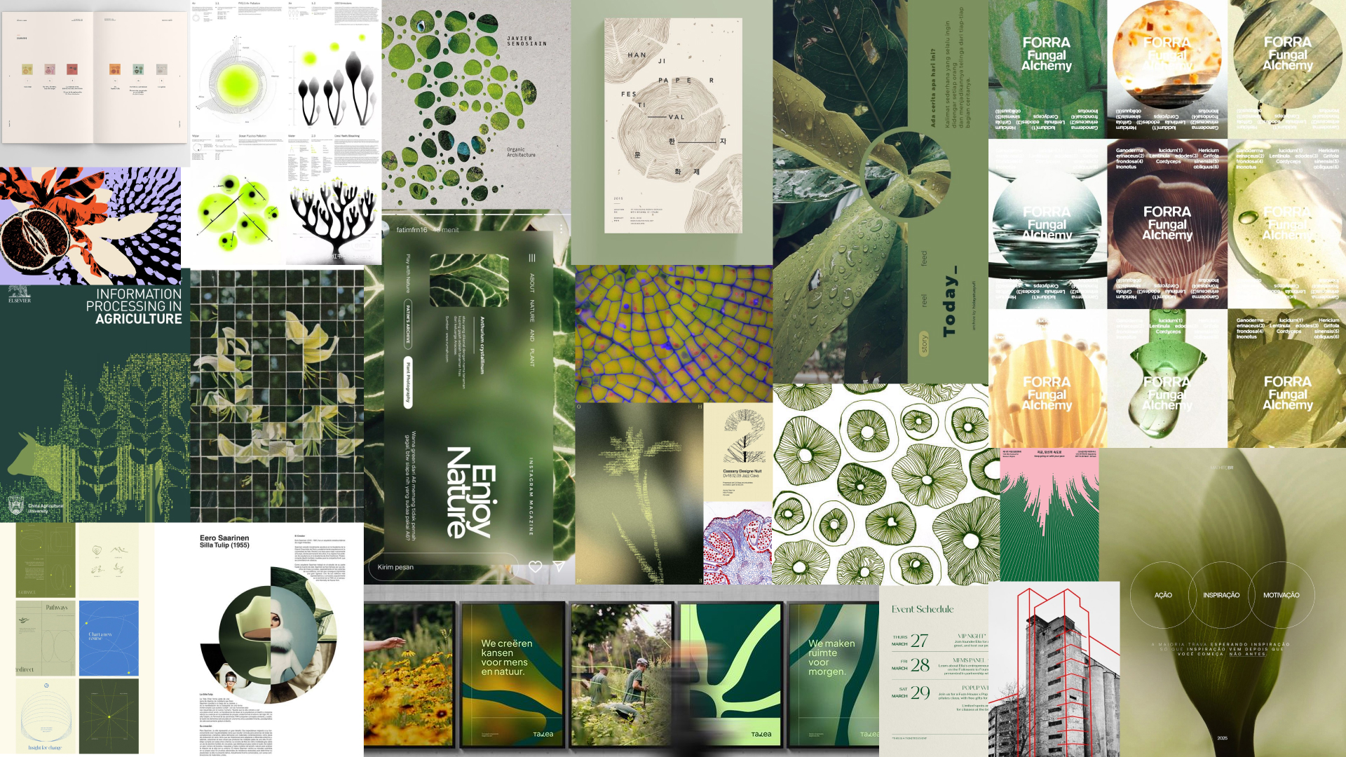 Moodboard of inspiration for rebel curls project