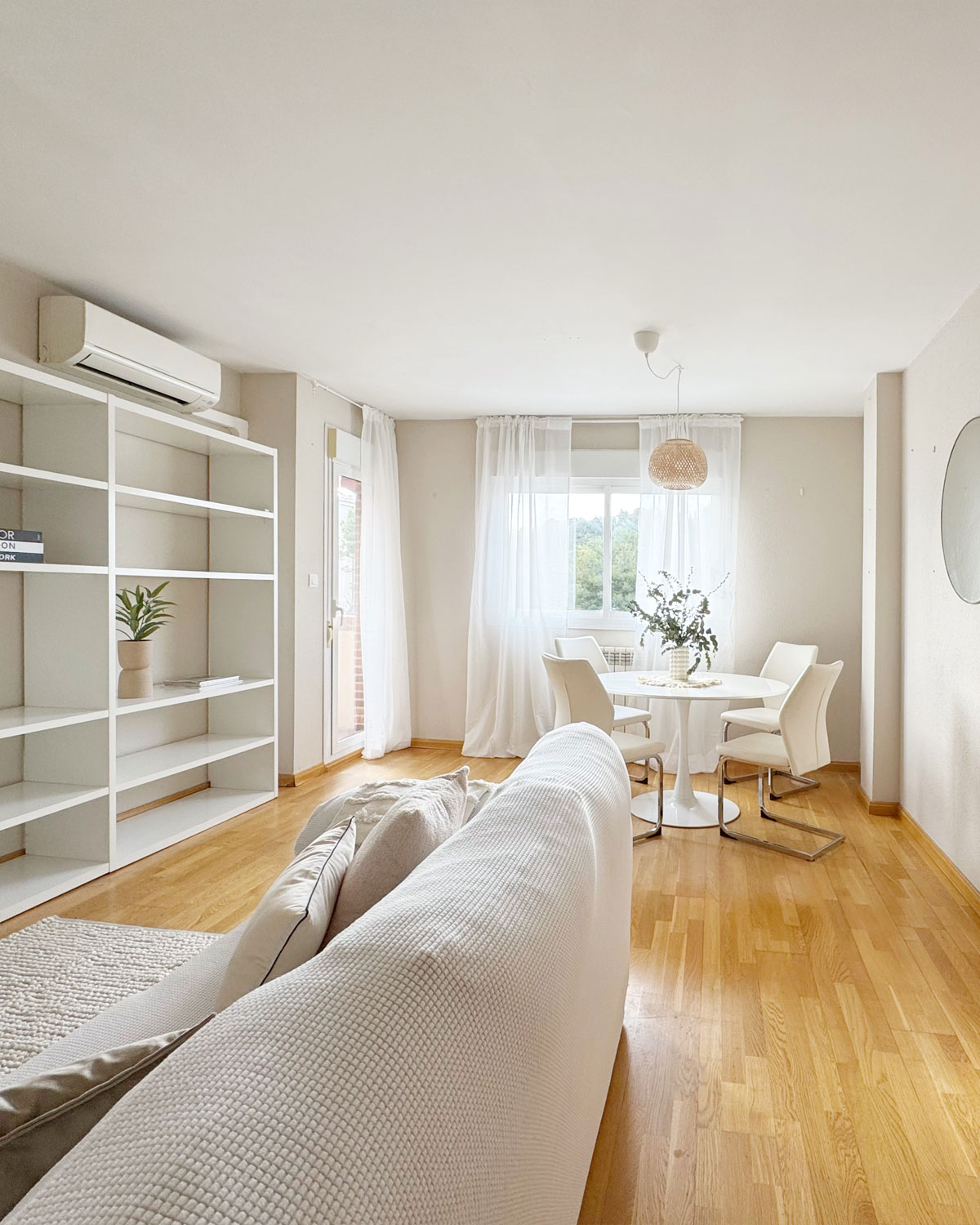 Living room with sofa and center plant