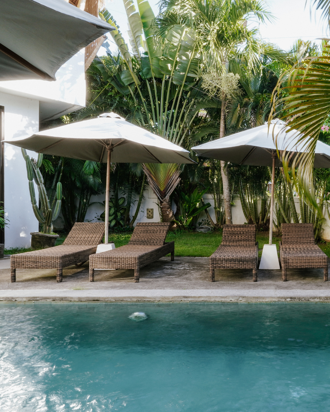 Four brown wicker lounge chairs under two large white umbrellas beside a blue swimming pool with lush green tropical plants in the background.