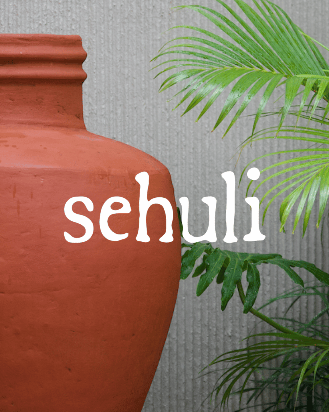 Sehuli wordmark over a terracotta urn and palms