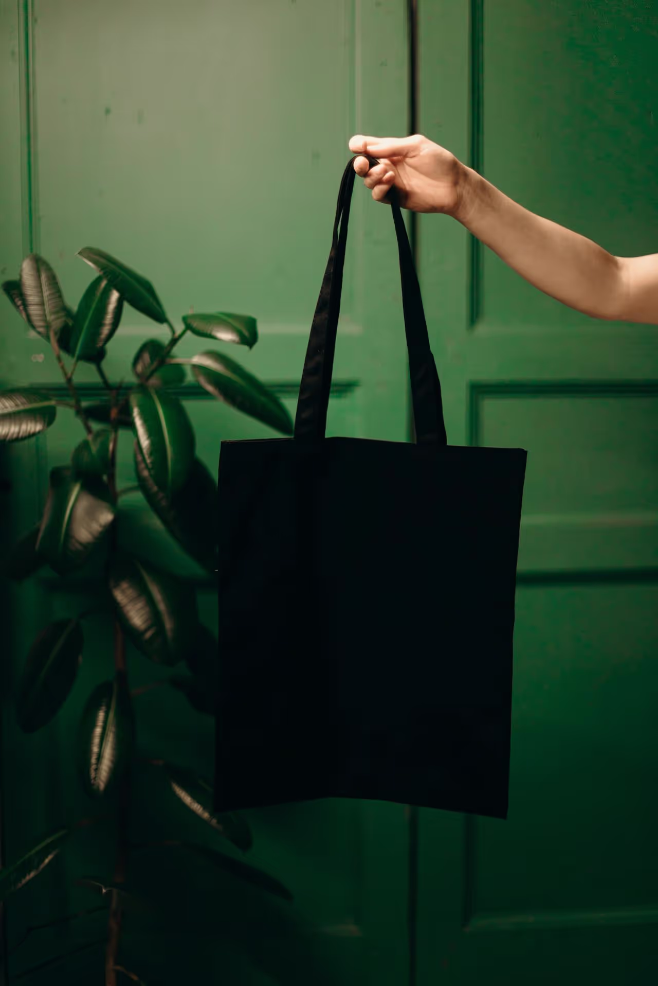 Santal case study thumbnail featuring organic branding and growth strategy