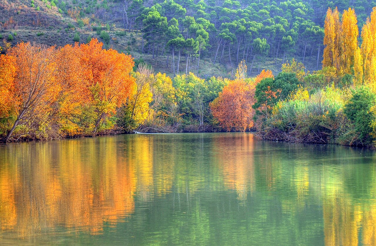 
River Arga landscape at Puente la Reina