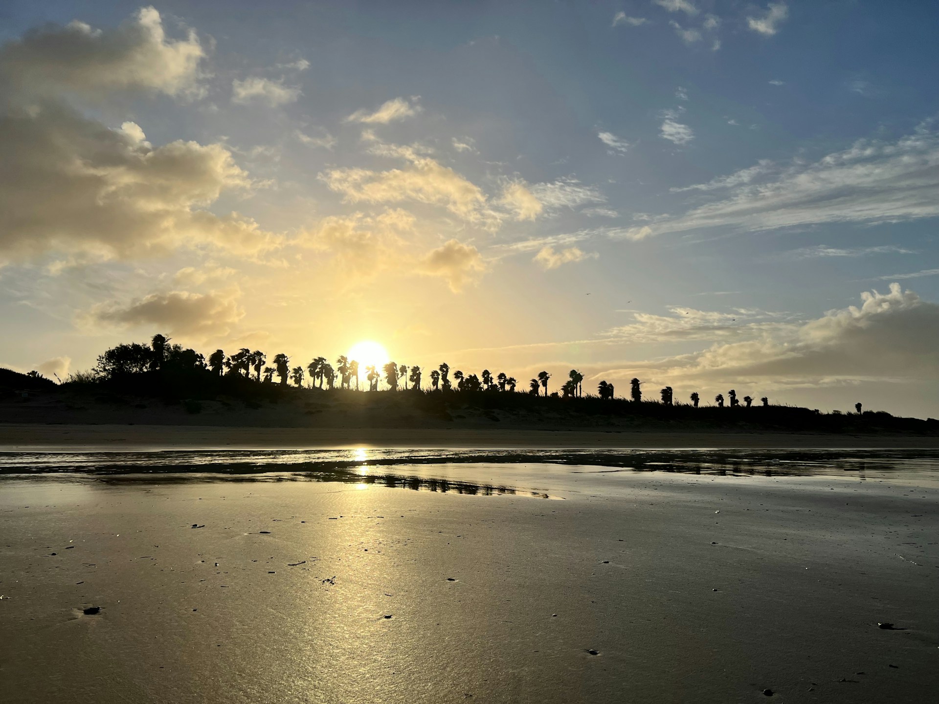 Costa Ballena, Rota | Photo by richard lagrand on Unsplash