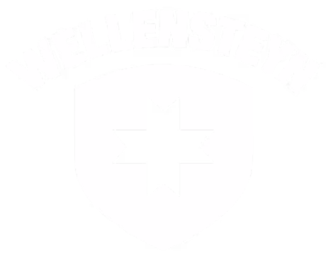 Das Logo von Wellensteyn