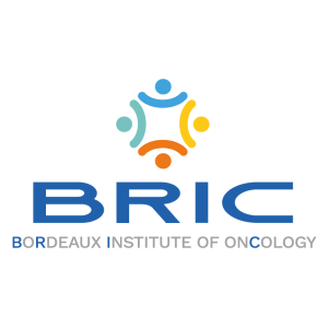 Logo BRIC