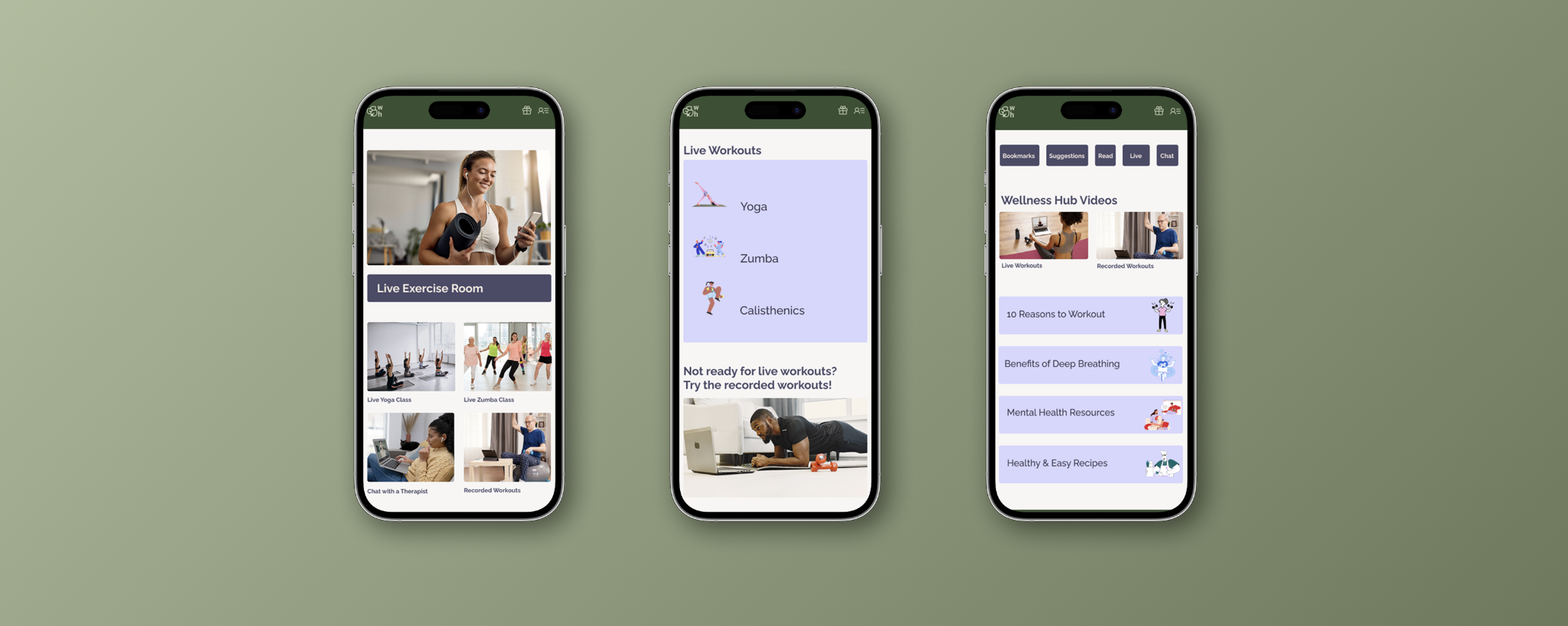 Wellness Hub case study preview