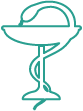 gesundhesit icon