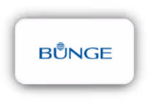Bunge Logo