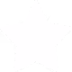 Star Icon