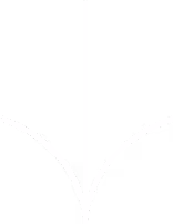 Scroll Icon