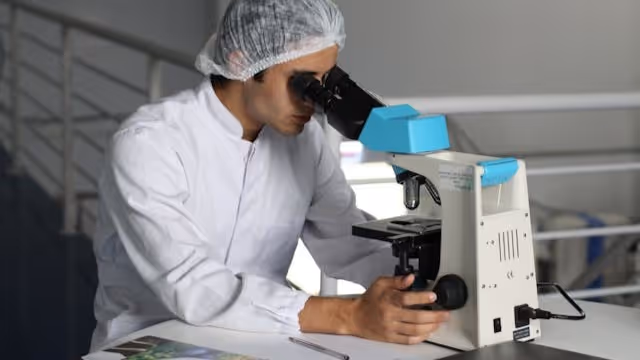 Einstein VisaBeyond Border