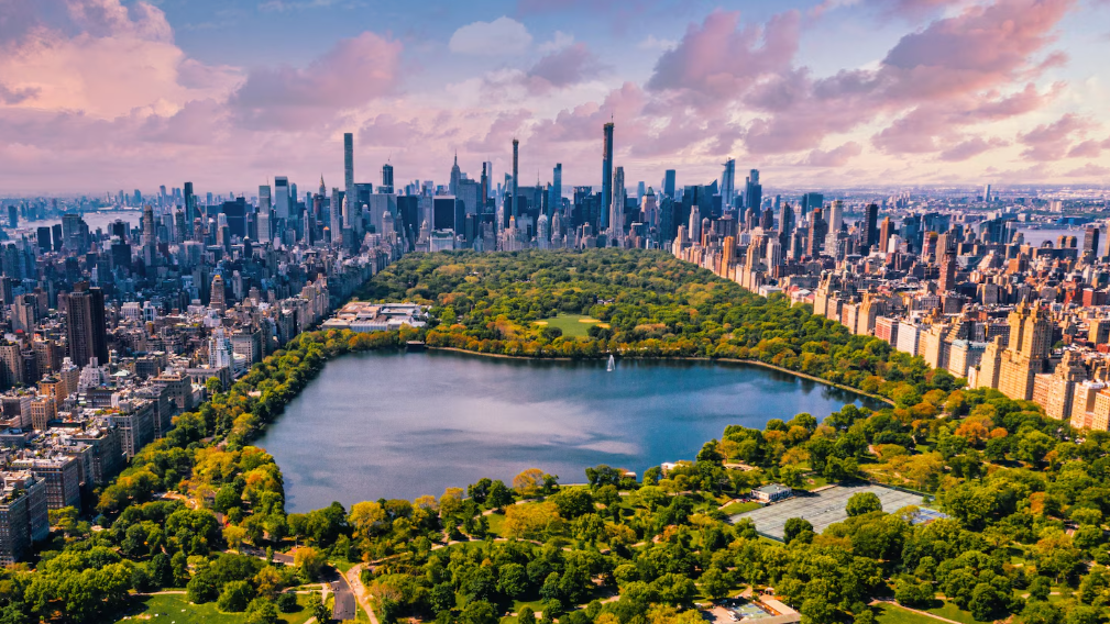 NIW India Update - Beyond Border