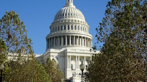 Trump Eases H-1B Pressure, But Strings Still Attached - Beyond Border