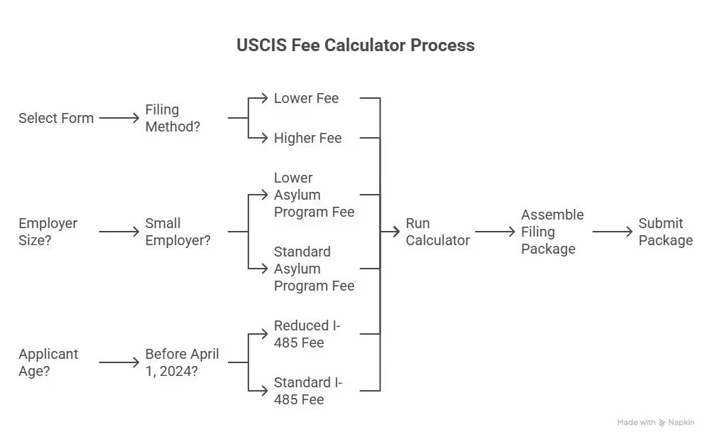Flowchart showing visa eligibility paths and application decision process. Beyond Border