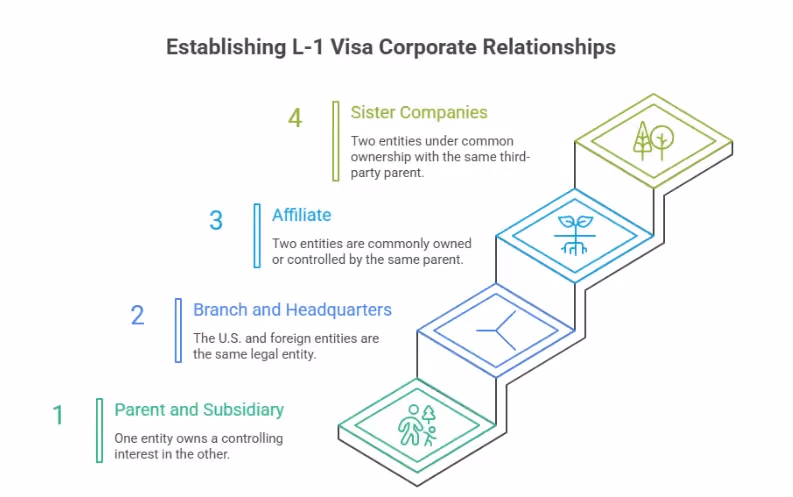 L-1 Visa relationship