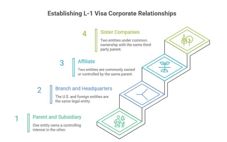 L-1 Visa relationship