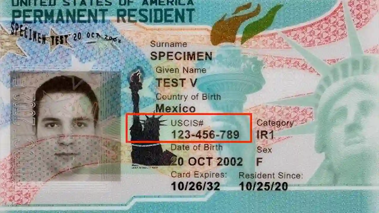 green card - beyond border