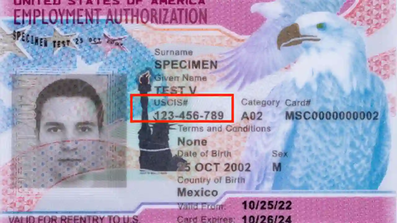 Green Card Beyond Border