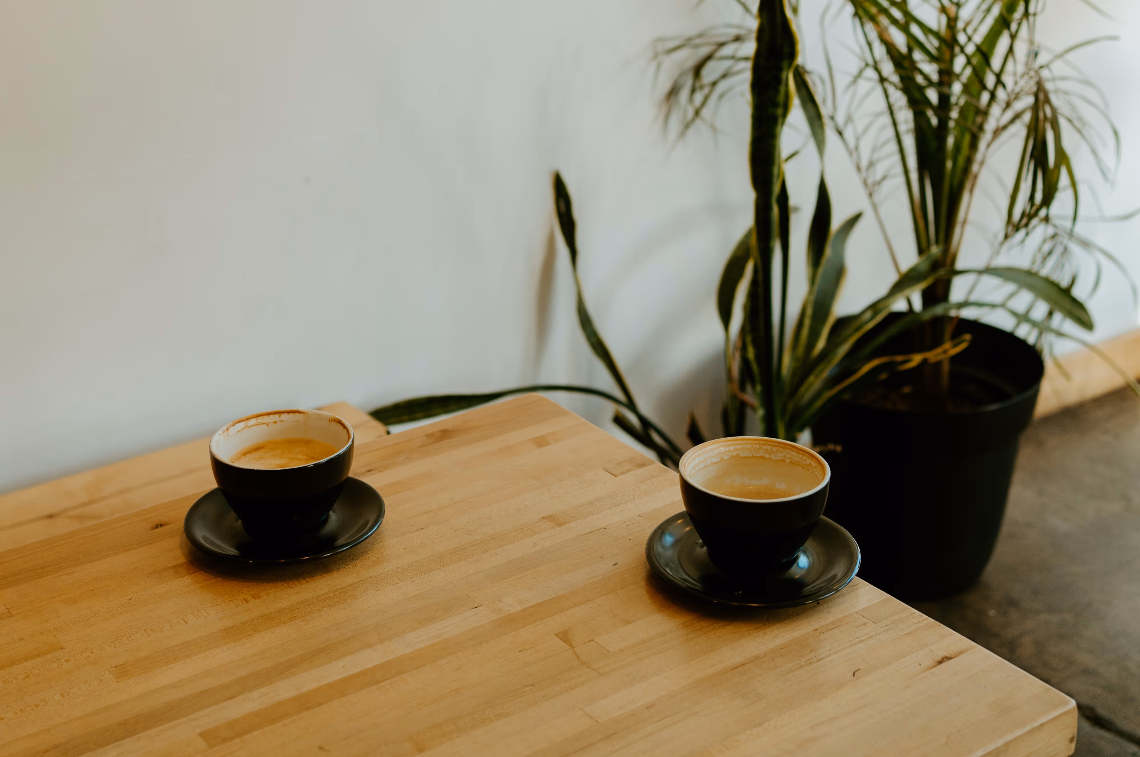 Two empty coffee cups on a table. Branding and Web Design by If So Studios