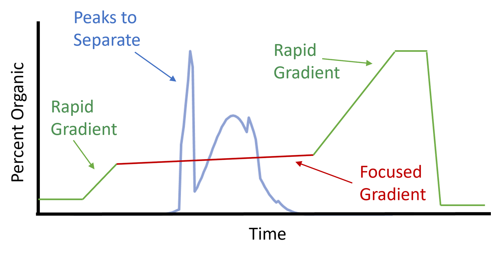 Focused Gradients