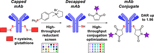 High-Throughput Experimentation Enables One-Pot MAb Reduction/Conjugation