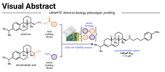A Direct-to-Biology Amine−Acid Amination for Rapid Phenotypic Profiling of Lysosomotropic Natural Products
