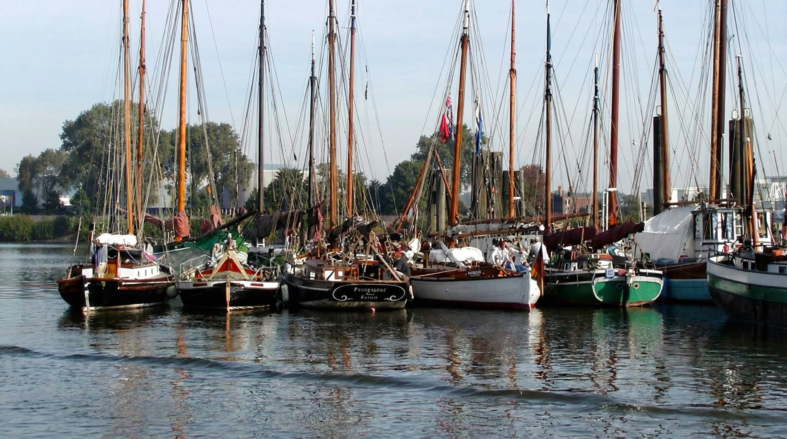 Mehrere Segelboote mit hohen Masten liegen dicht nebeneinander auf ruhigem Wasser, im Hintergrund Bäume und Gebäude im Yachthafen, Finkenwerder, Hamburg.