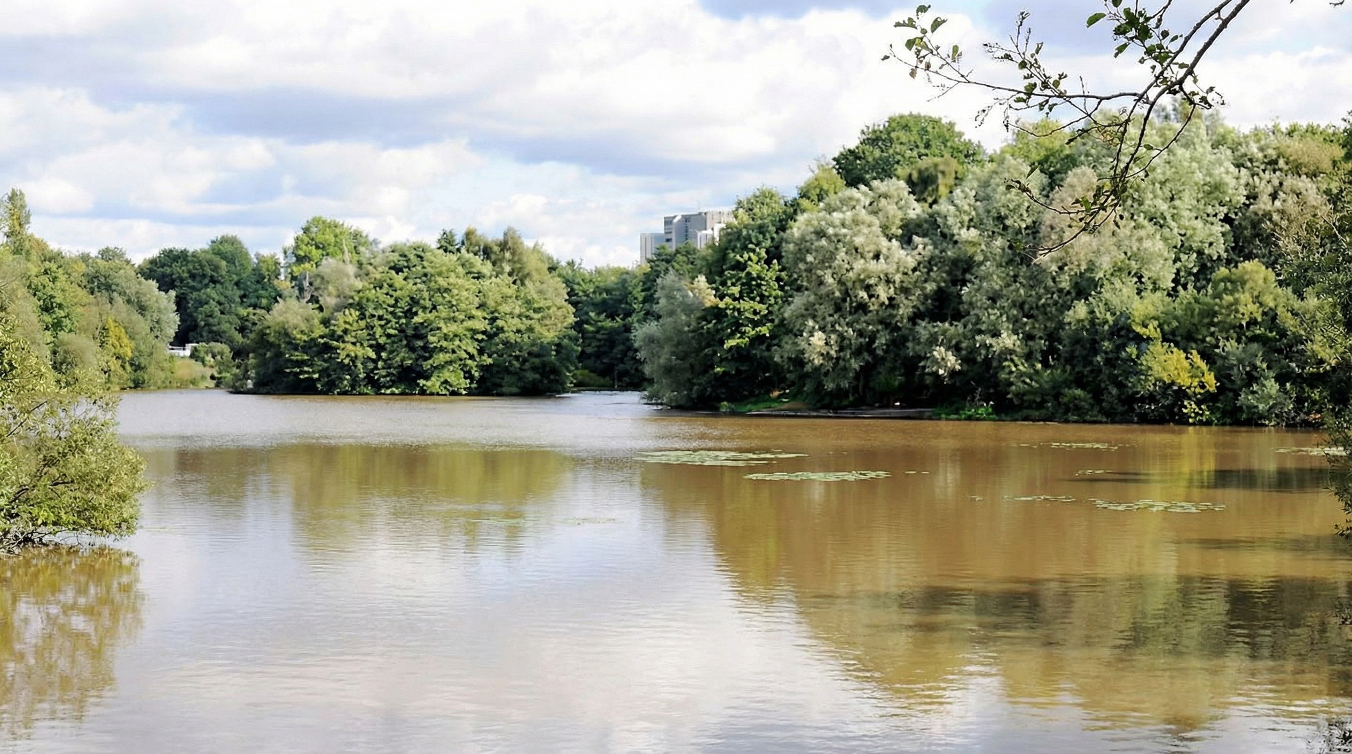 See mit braunem Wasser, umgeben von dichtem, grünem Laub und Bäumen unter bewölktem Himmel in Osdorf, Hamburg.