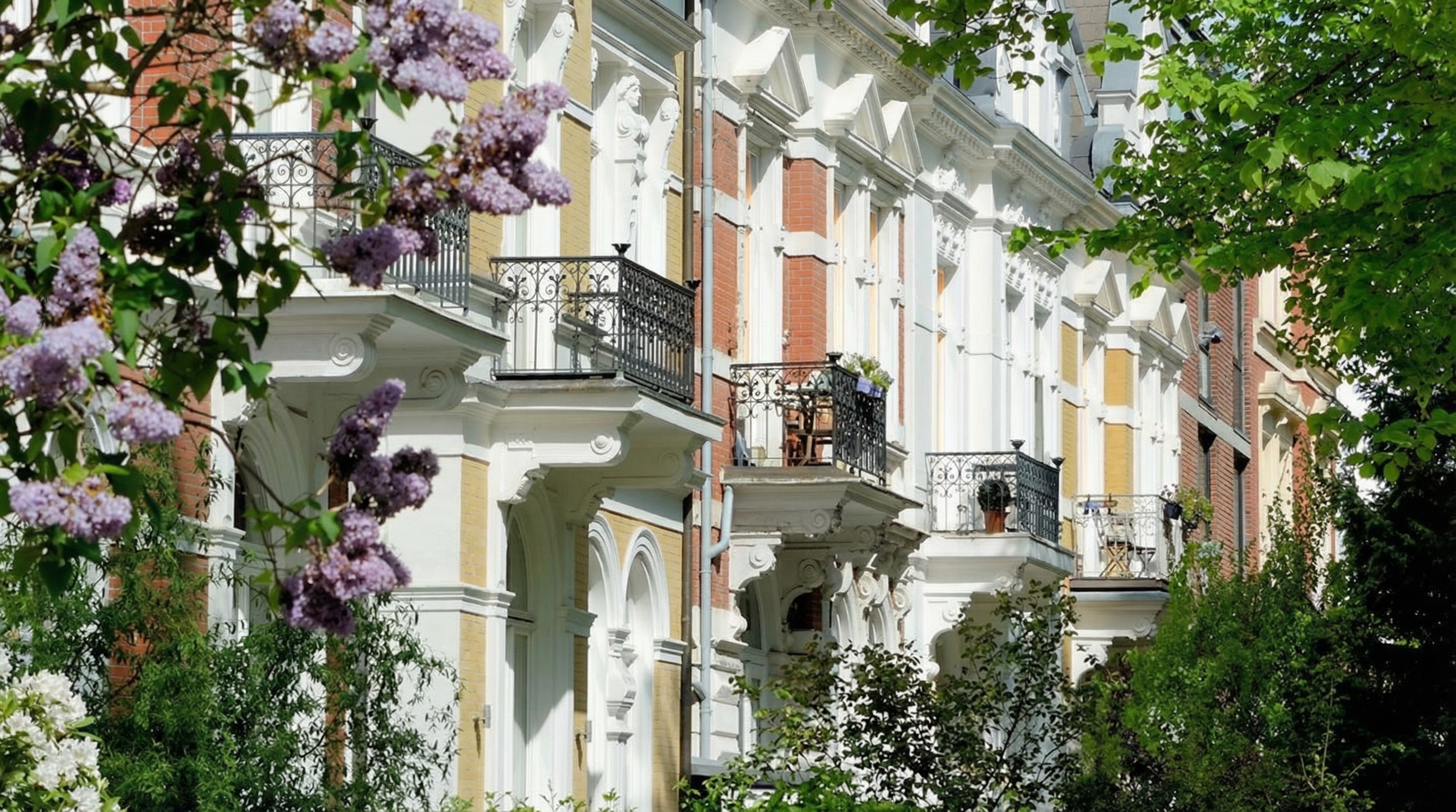 Fassaden mehrerer Altbauten mit weißen Stuckverzierungen und Balkonen, umgeben von grünem Laub und blühendem Flieder in Hohenfelde, Hamburg.