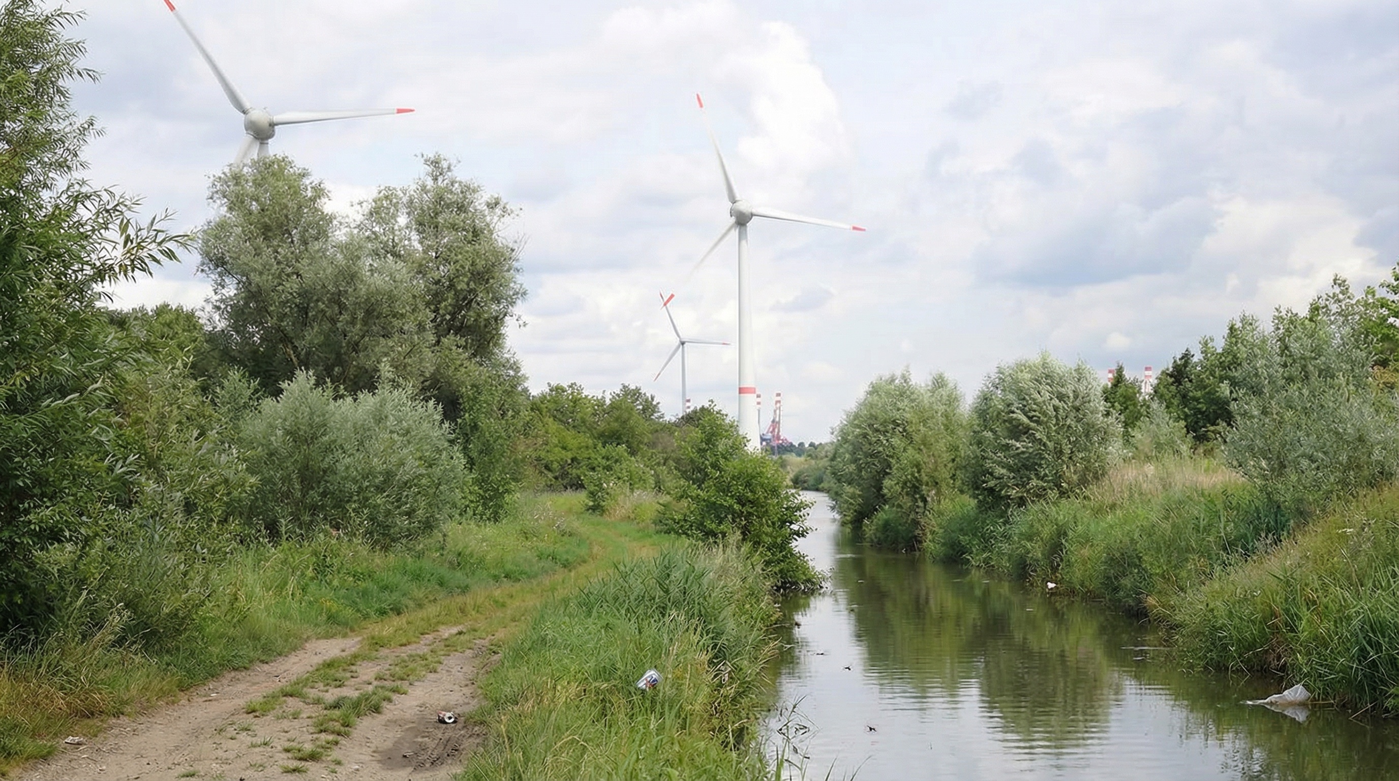 Schmaler Kanal mit dichtem Uferbewuchs und angrenzendem Feldweg, im Hintergrund mehrere Windräder und Industrieanlagen. Der Himmel ist bewölkt, einige Wasservögel schwimmen im Fluss, vereinzelt ist Müll am Ufer zu sehen in Altenwerder, Hamburg.