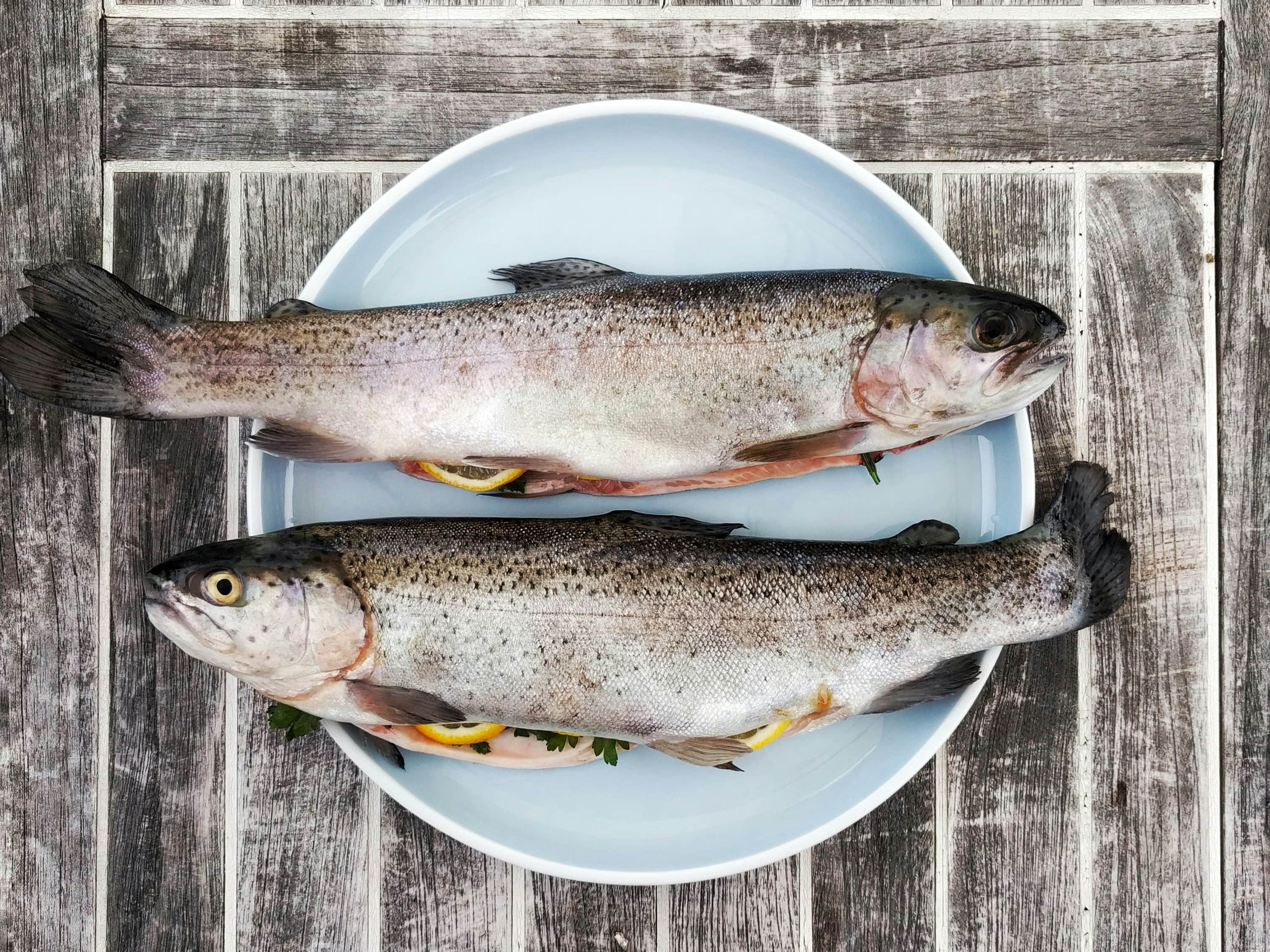 Handmade Plastic Fish