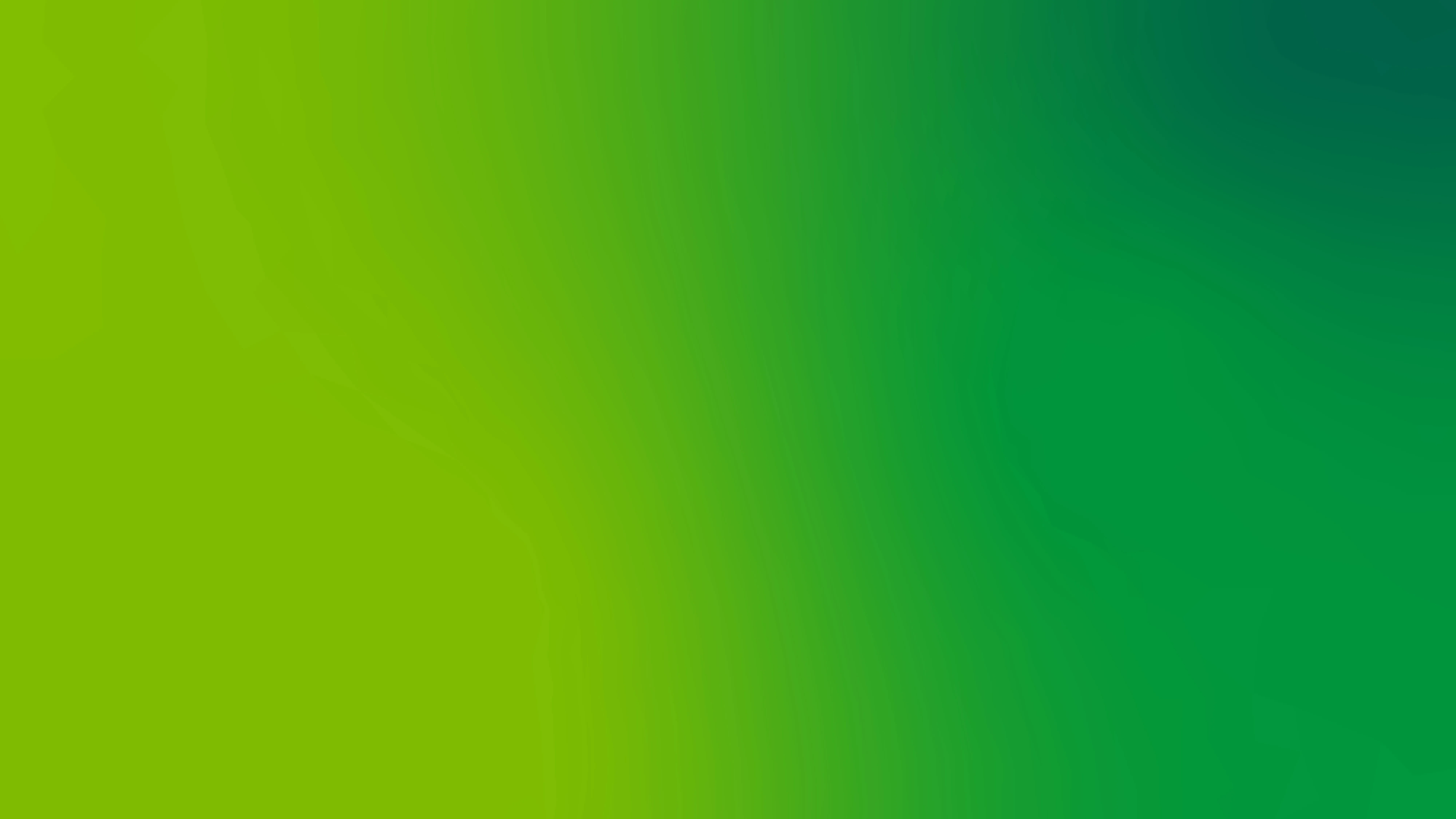 La solución financiera que estabas buscando