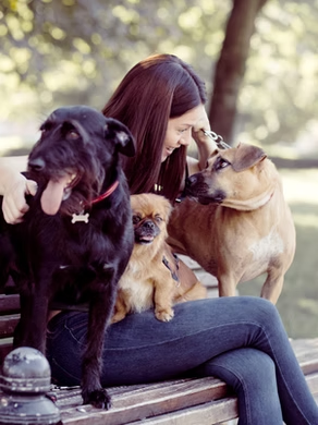 A woman sitting on a bench with three dogs.