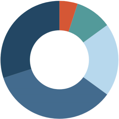 pie chart icon