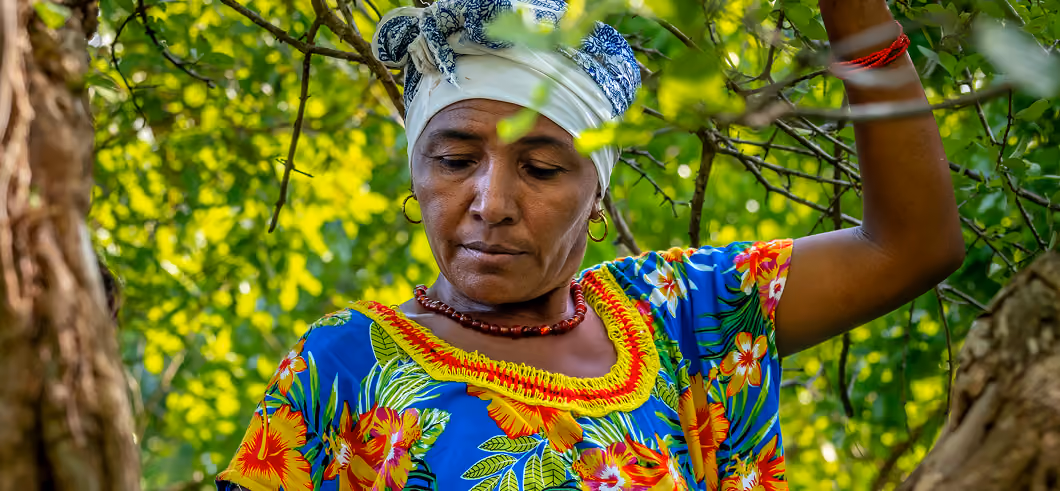 Población wayuú impactada por la organización social El Origen en Colombia