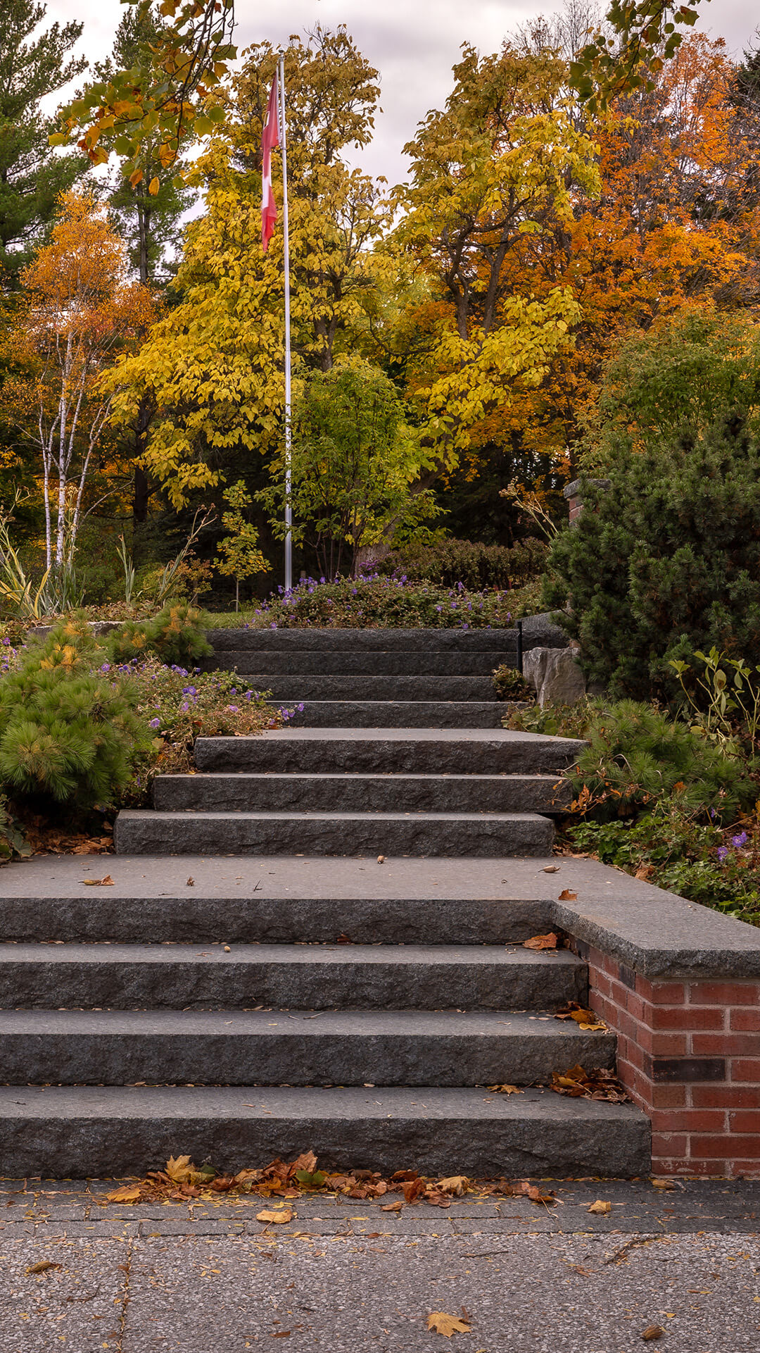 Stone steps leading up to a flagpole surrounded by autumn trees with yellow and orange leaves and green shrubs.
