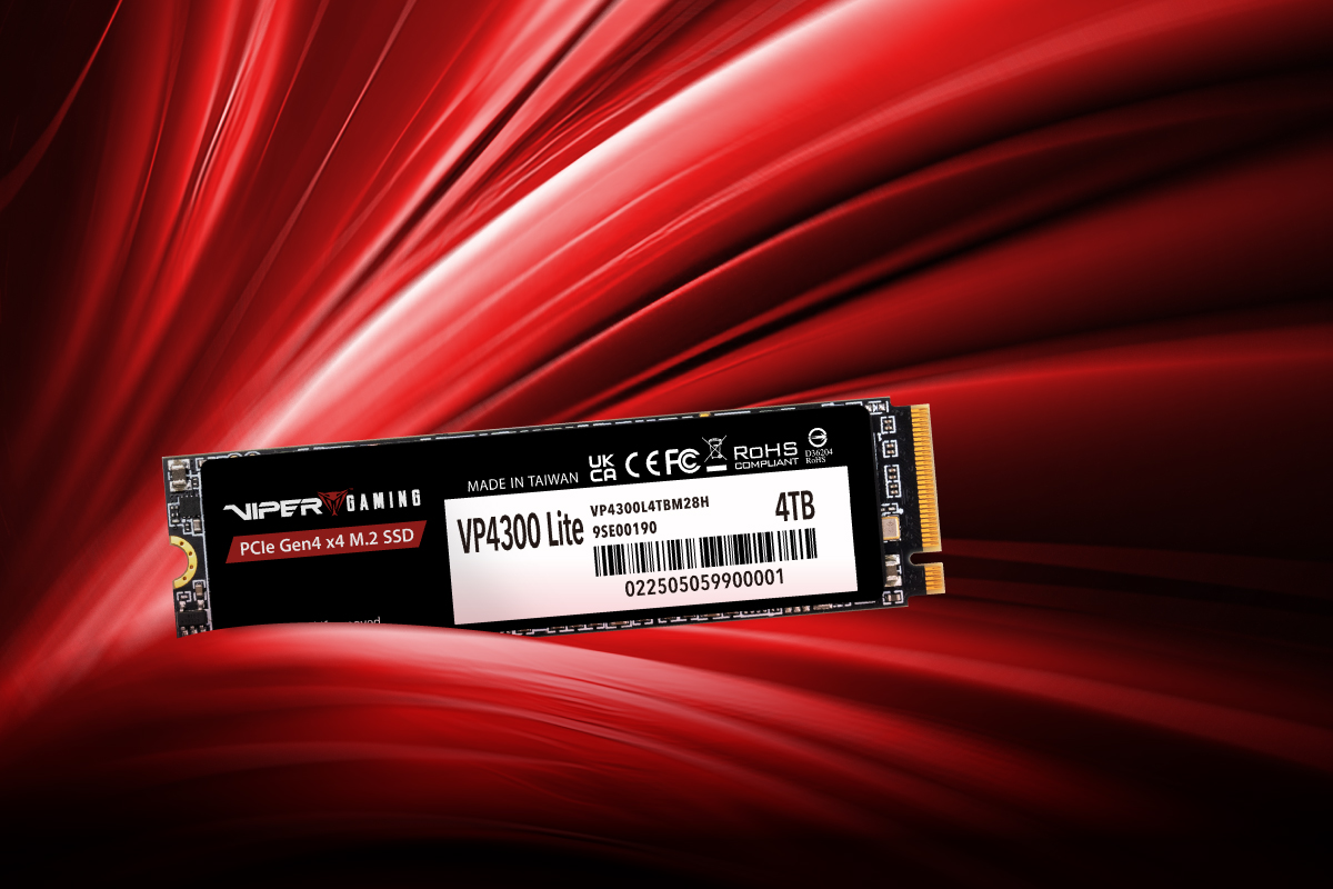 VP4300 Lite M.2 PCIe Gen4 x4 Gaming SSD