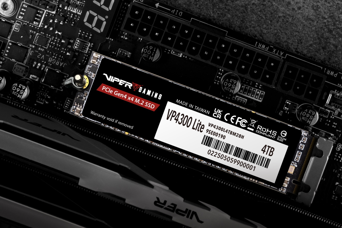 VP4300 Lite M.2 PCIe Gen4 x4 Gaming SSD