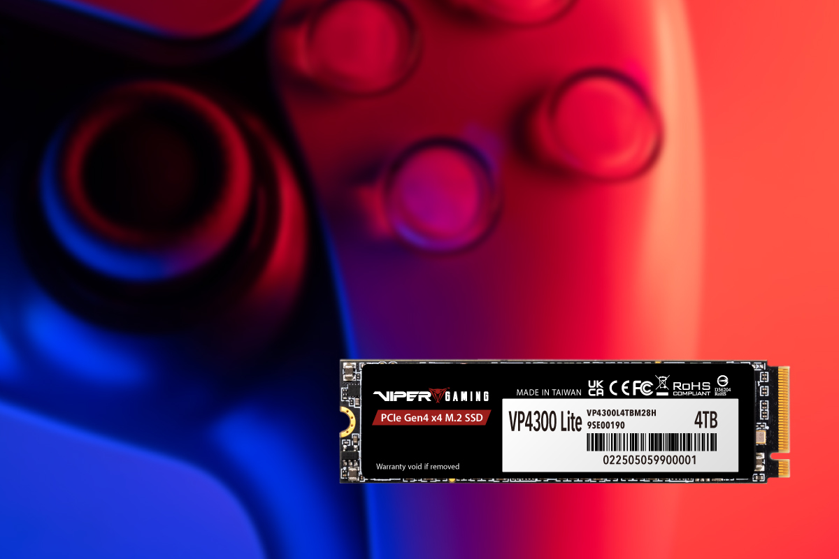 VP4300 Lite M.2 PCIe Gen4 x4 Gaming SSD