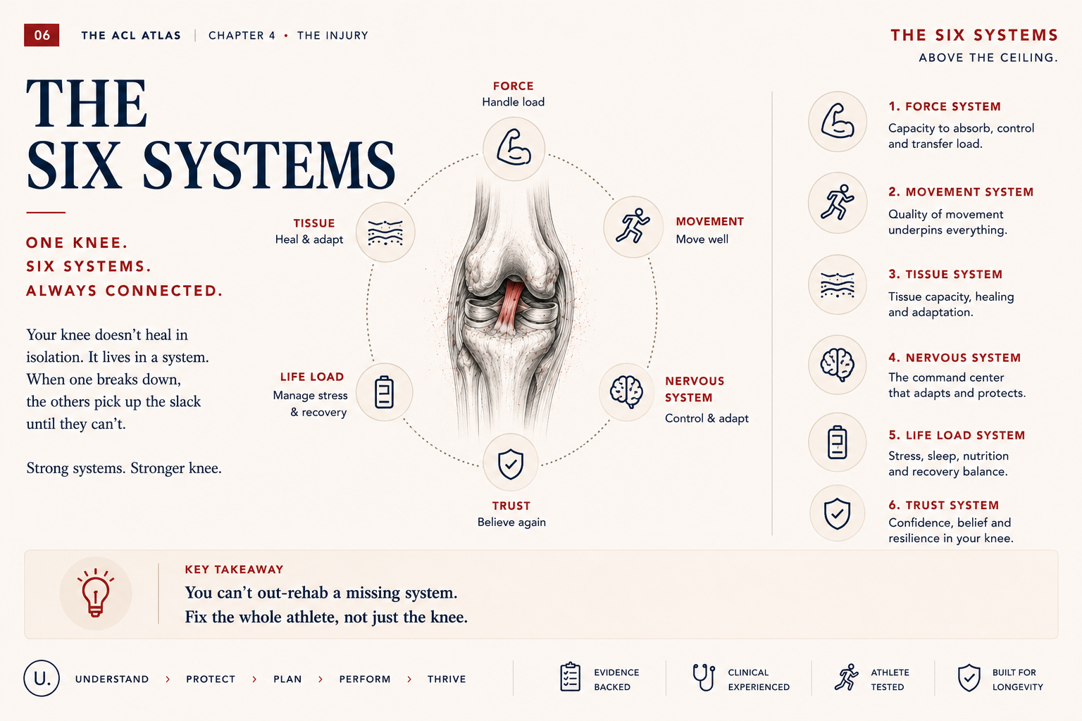 The Six Systems of ACL recovery