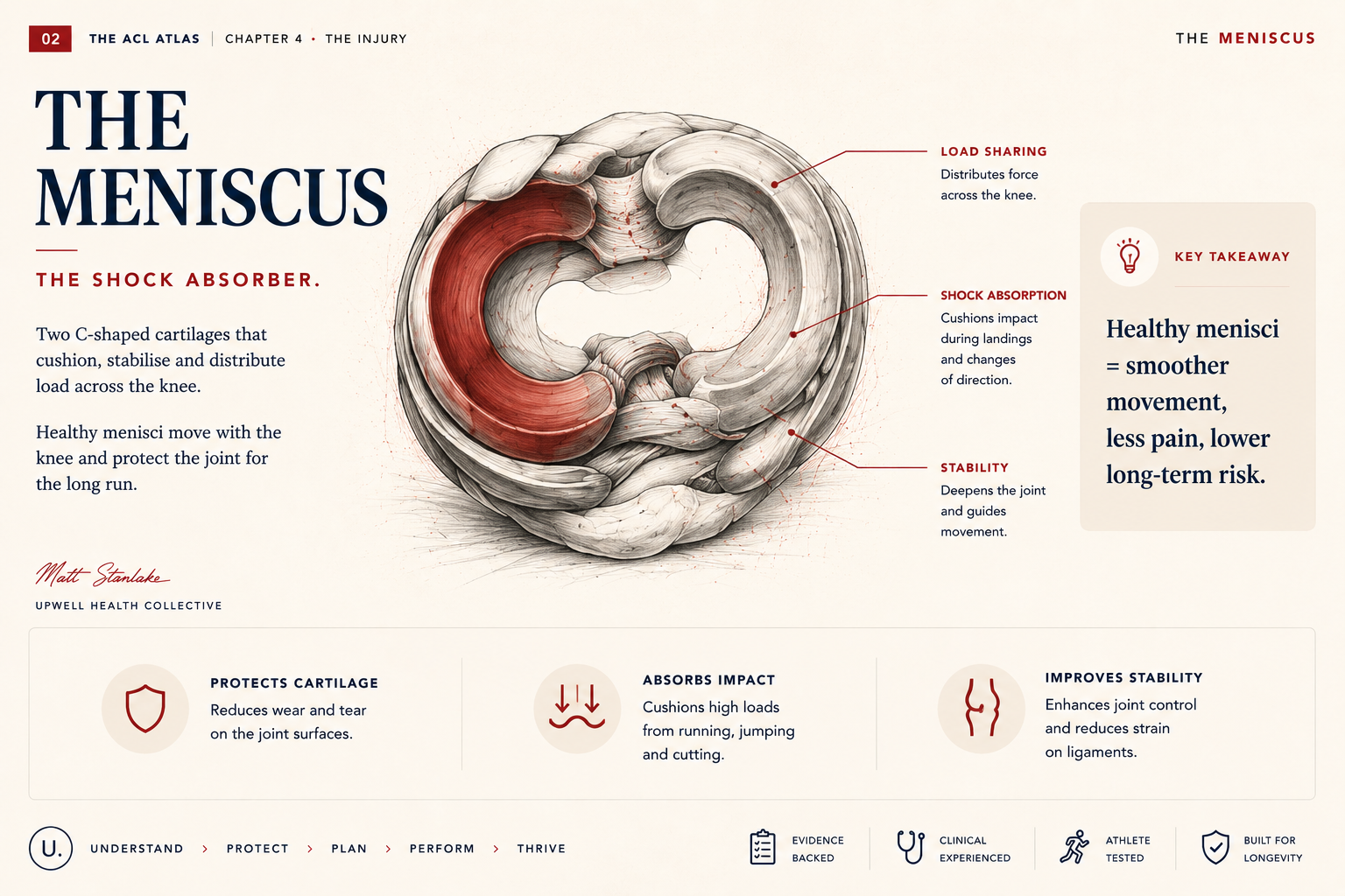 The Meniscus