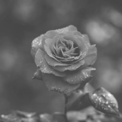 Web design project image.